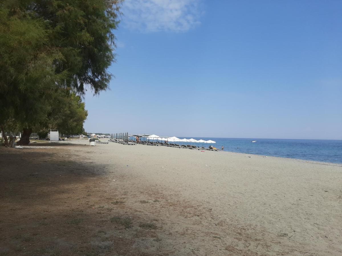 מלון לפטוקריה Dimitria מראה חיצוני תמונה